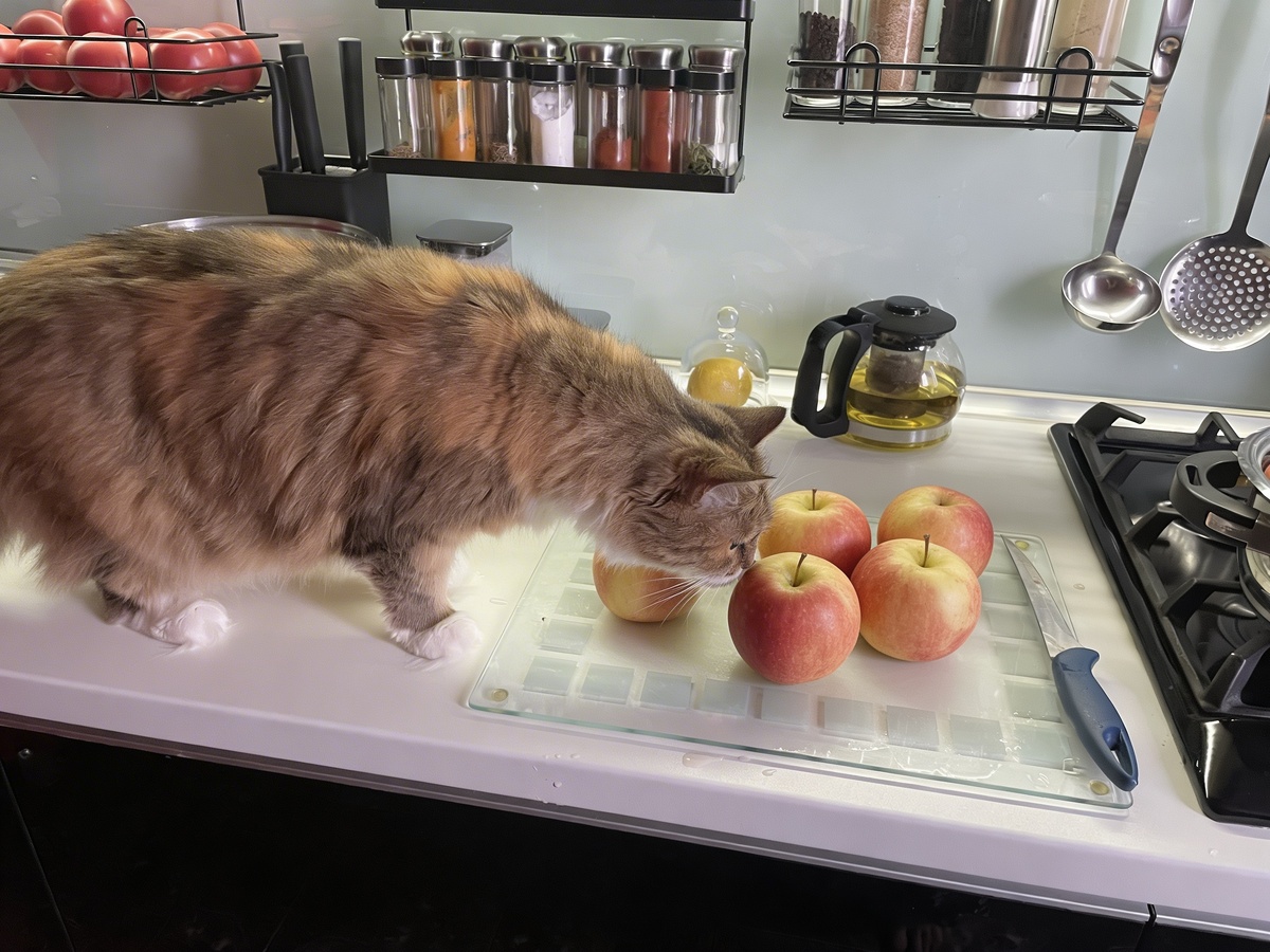 Самый главный эксперт по яблокам )