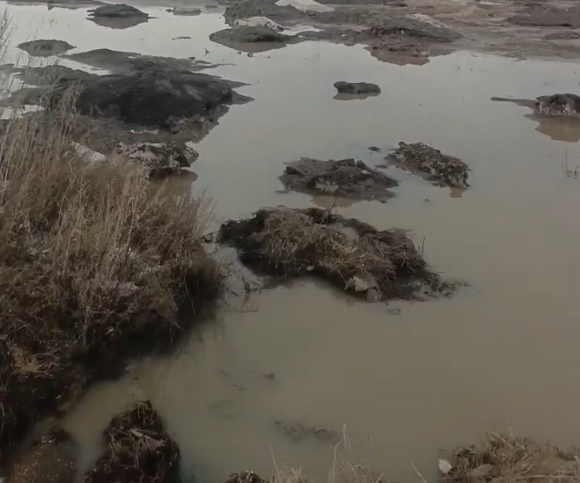    В Оренбурге талые воды со снежного полигона на улице Амурской угрожают подтоплением СНТ «Карачи»