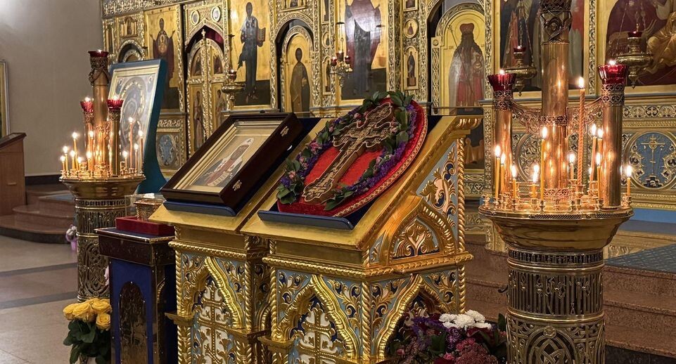    МедиаБанк Подмосковья/Мария Шматкова