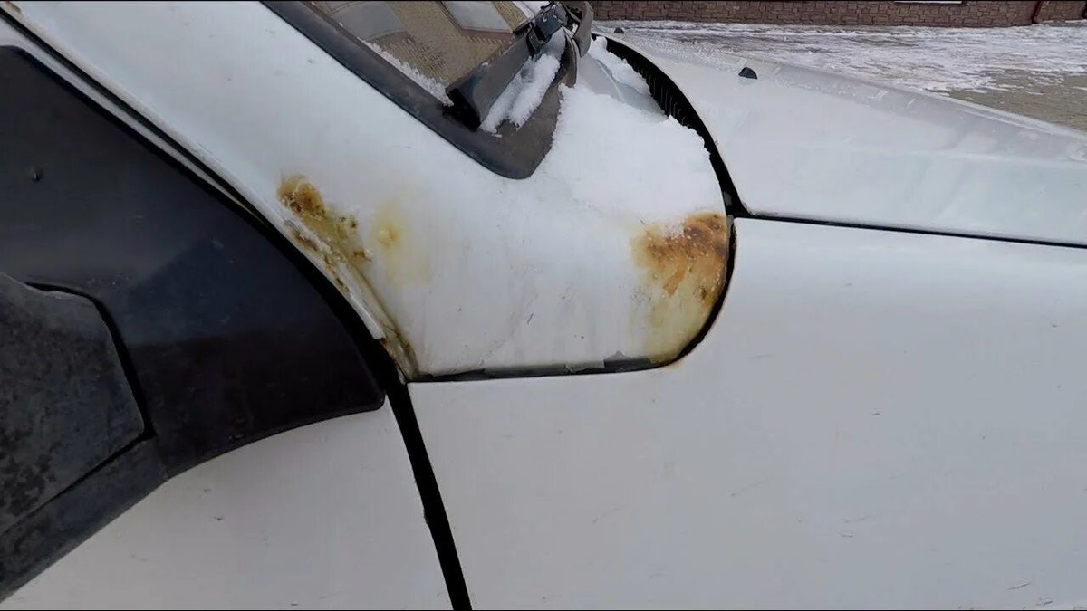 Фото из открытых источников 