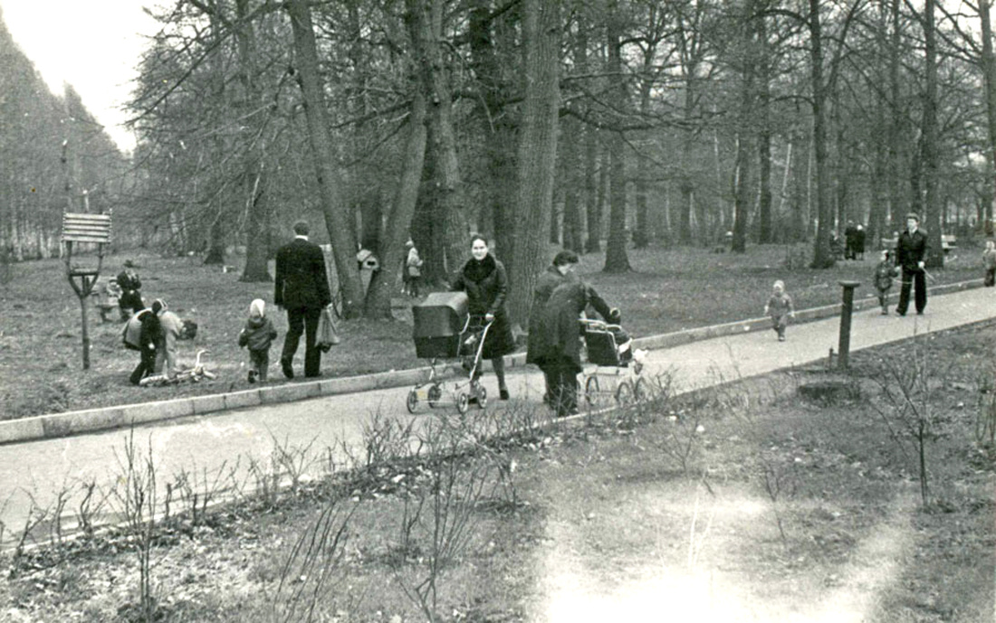 "Аллея в Терлецком парке", 1978 год. Фото: В.Скворцов.