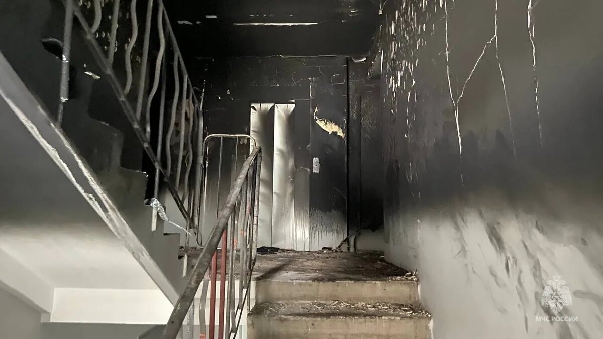    Фото: МЧС РФ