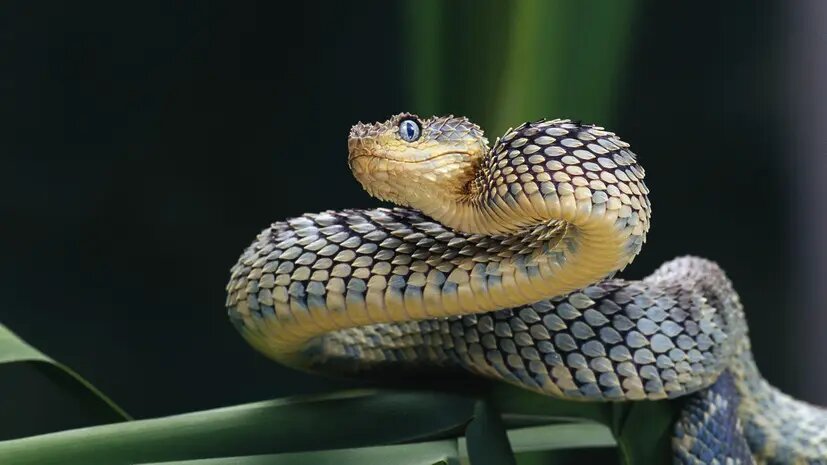    Источник: russian.rt.com Михаил Горбунов