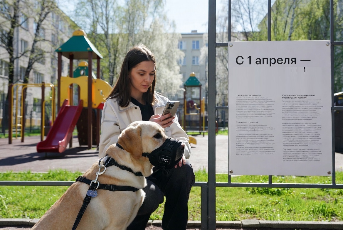 Для каких площадок новый стандарт обязателен?