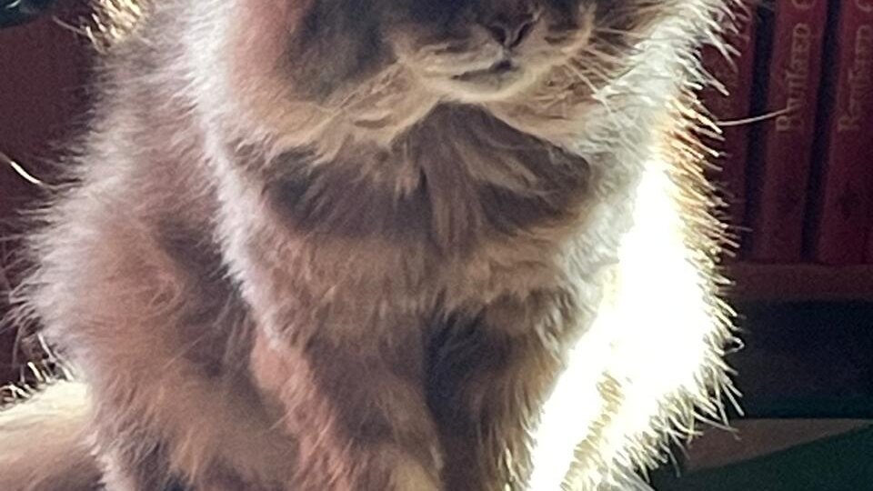 Почему мы не покупаем Филе матрасики и кроватки