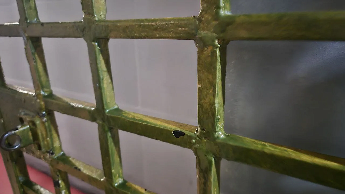    Фото: телеканал «Краснодар»