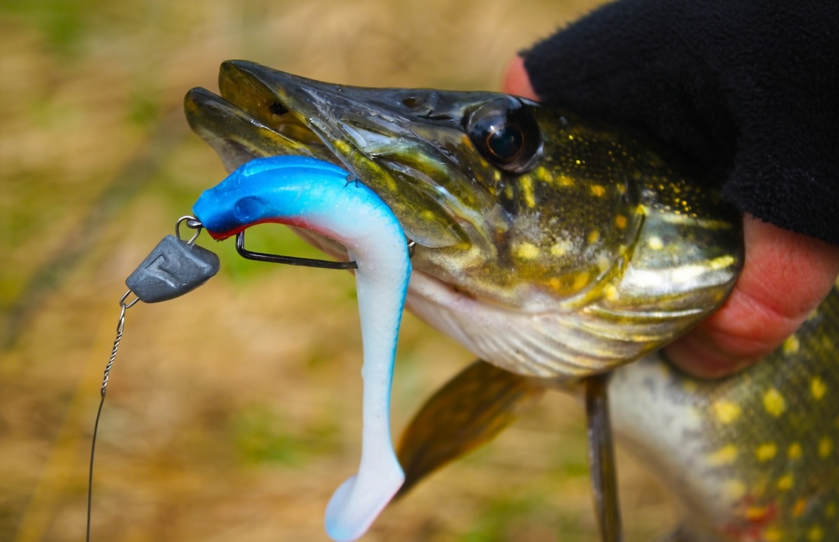 Щука на джиг