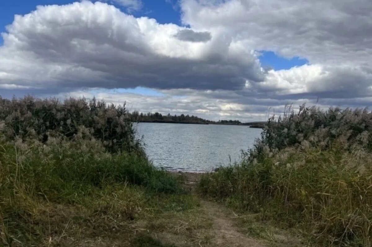    Прокуратура вернула пруд под Жирновском из аренды в общее пользование