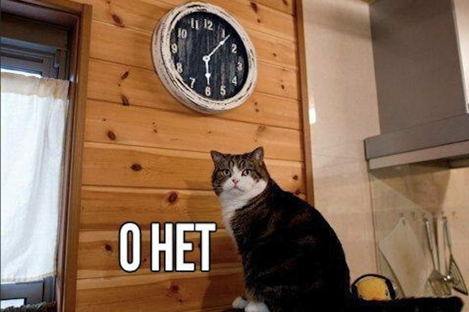 Источник: https://share.google/I5mnDCo1PGvQ5b00J