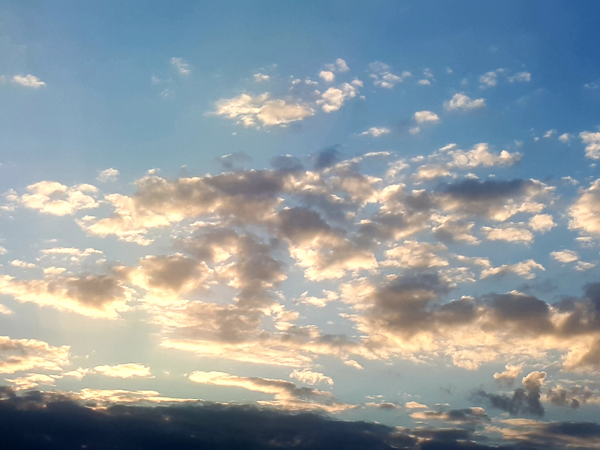 Фото автора 31.03.2026г.