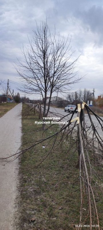     фото - Курский Бомондъ