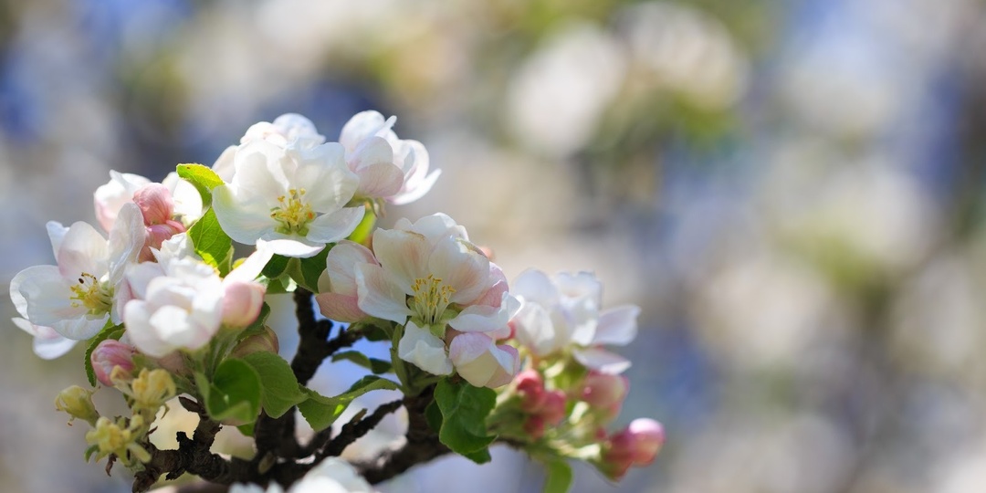 Прогноз погоды на апрель 2026