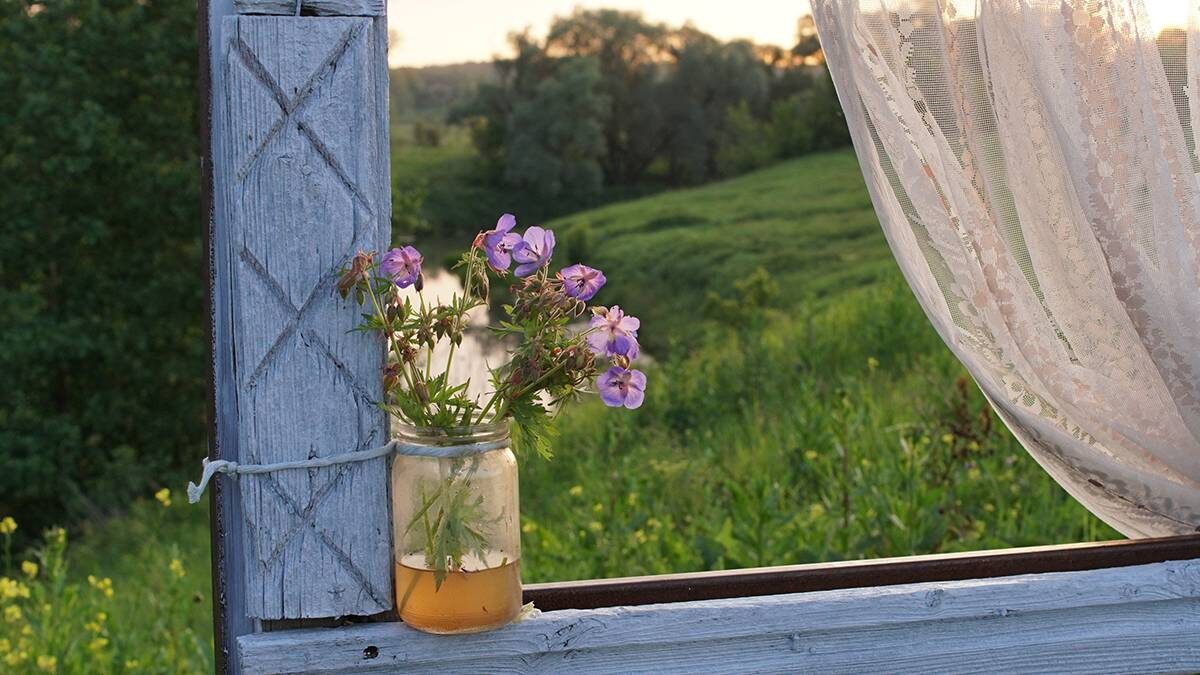    Фото: Анатолий Цымбалюк / Вечерняя Москва