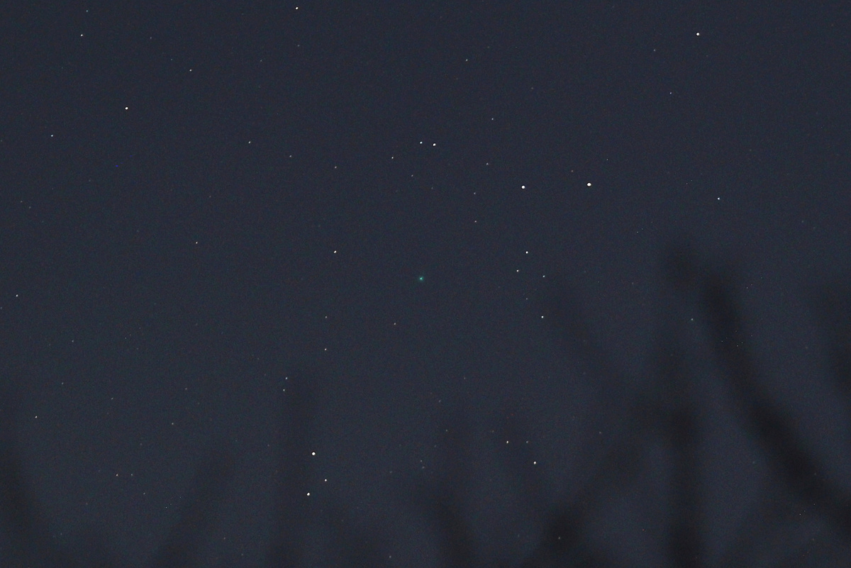 Комета C/2025 R3 (PANSTARRS) 31 марта 2026 года, фото автора