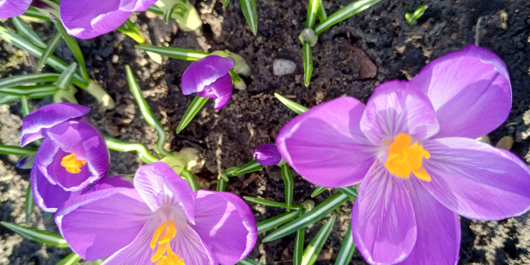 Вот такая она, нынешняя весна.