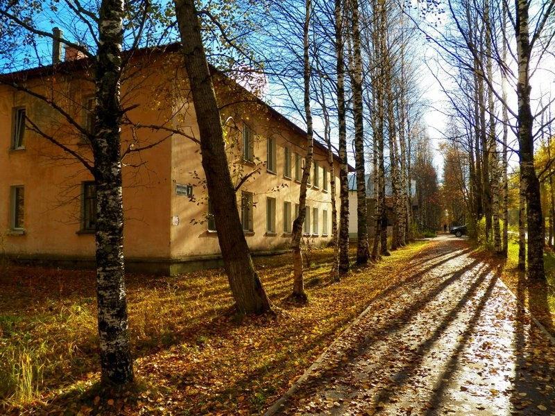 Улица Н.В. Оплеснина в г. Сосногорске