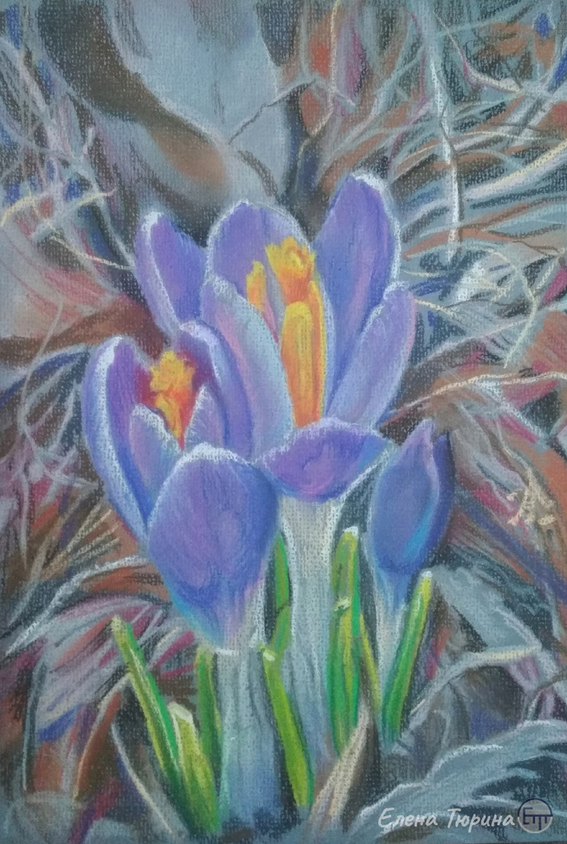 Художник Елена Тюрина. "Крокусы". Бумага. Сухая пастель. Размер: 29.7 х 21 см. 2021 г.