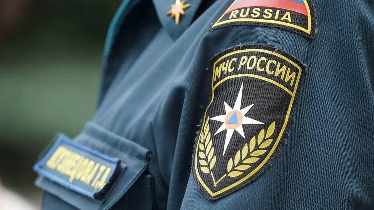    Источник: vm.ru/ Павел Евсеев