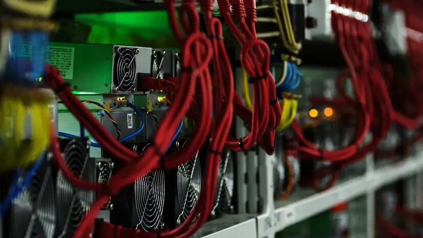    Источник: russian.rt.com Мария Михайлова