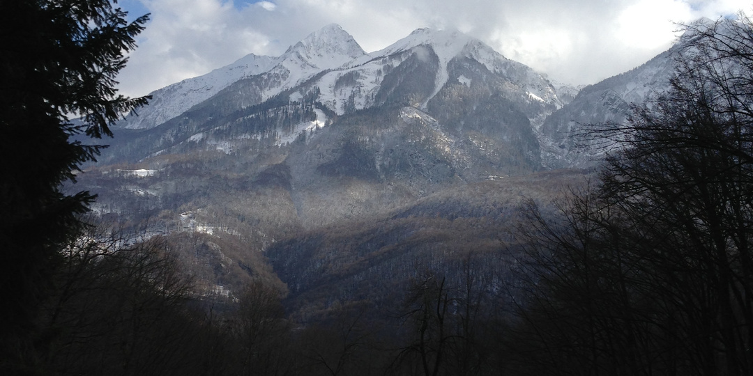 Весна в горах: первоцветы, пальмы, желуди