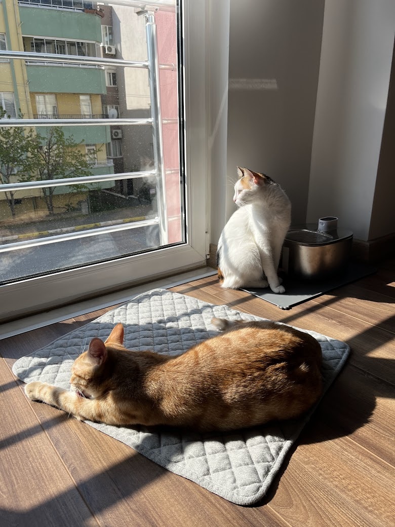 Она не отказывается. Она просто не узнаёт это как воду.