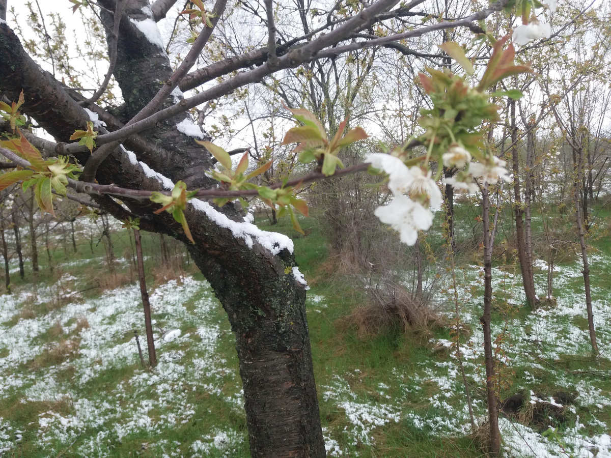 Фото автора