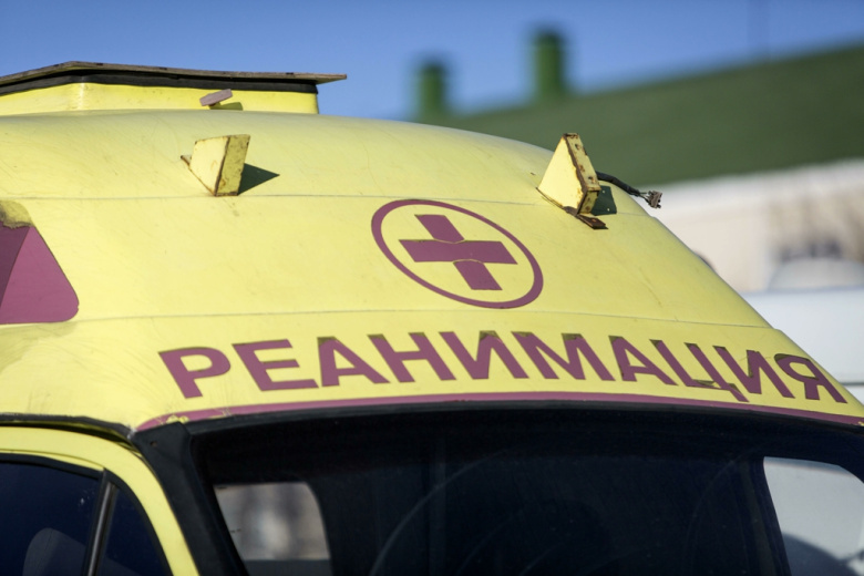    Nikolay Gyngazov/Global Look Press