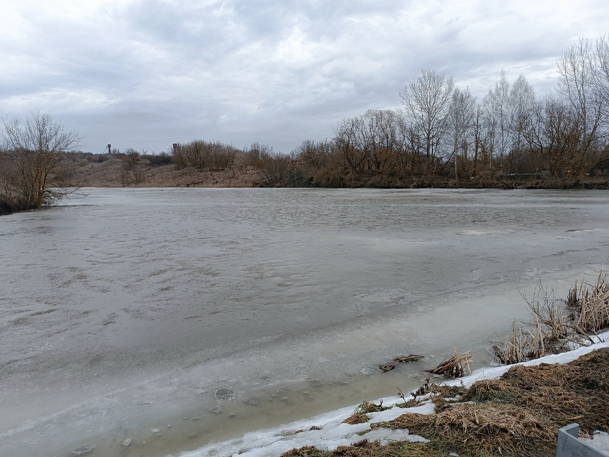 Пруд наполнился водой