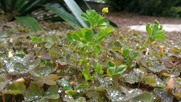    © РИА Новости Крым