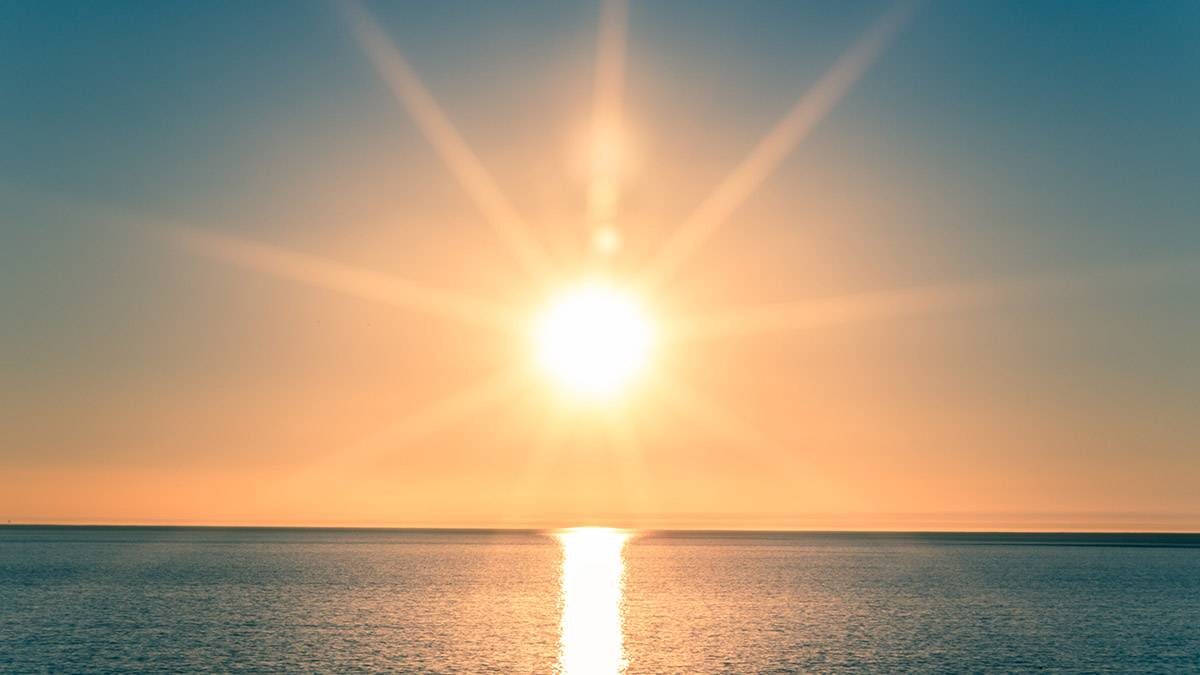    Фото: Shutterstock