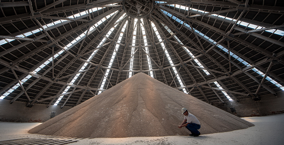 Фото: Stephan Schulz/dpa/Global Look Press