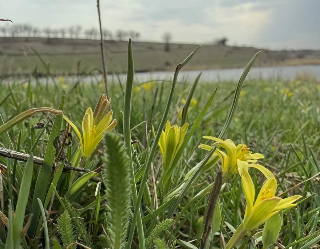    Фото: Вера Резникова. Галина Ященко