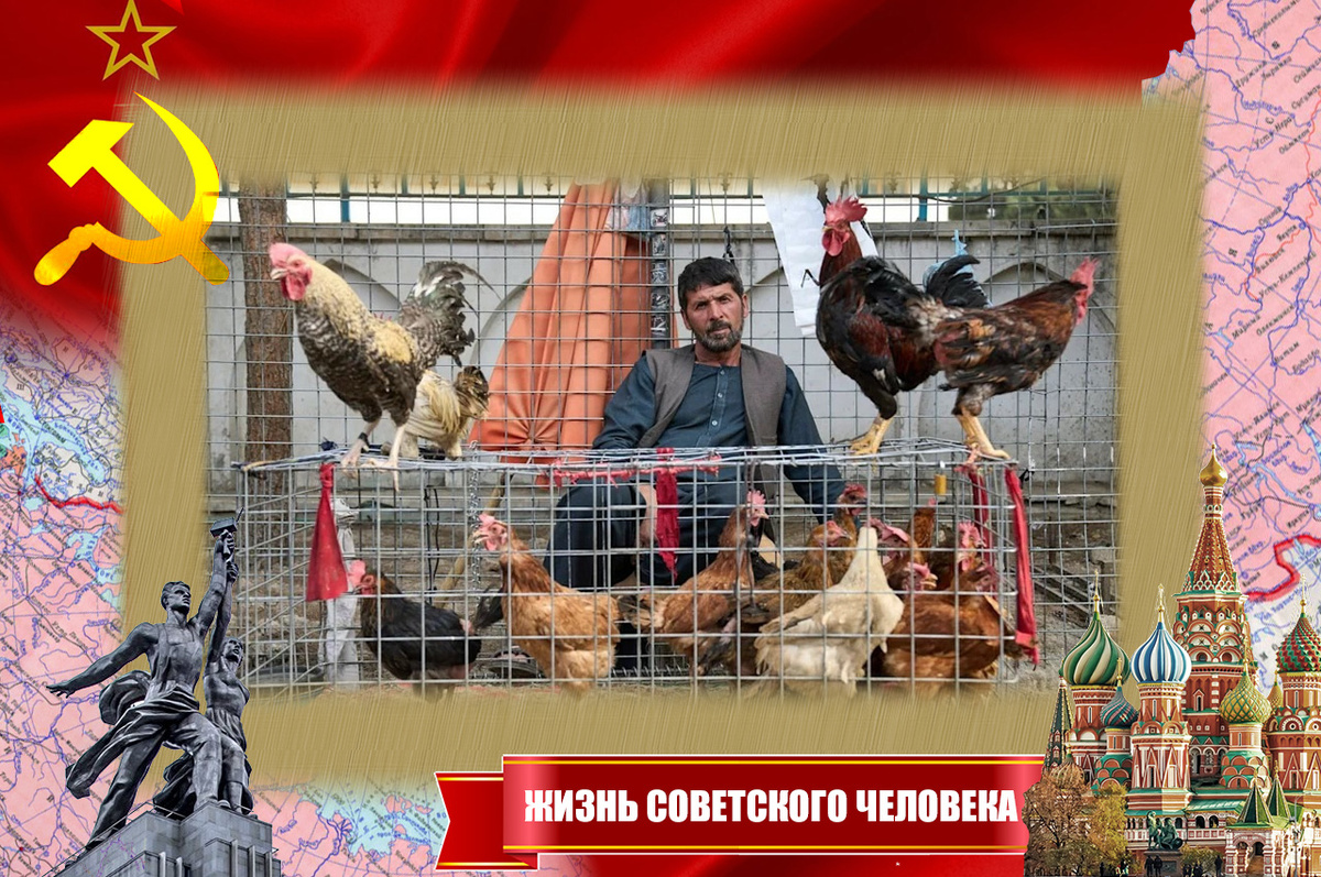 Афганец продаёт петухов и кур