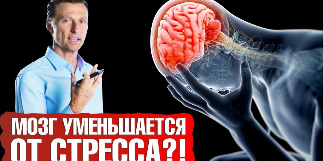 Как Понять, Что Мозг Начинает Давать Сбои — 6 Ранних Признаков