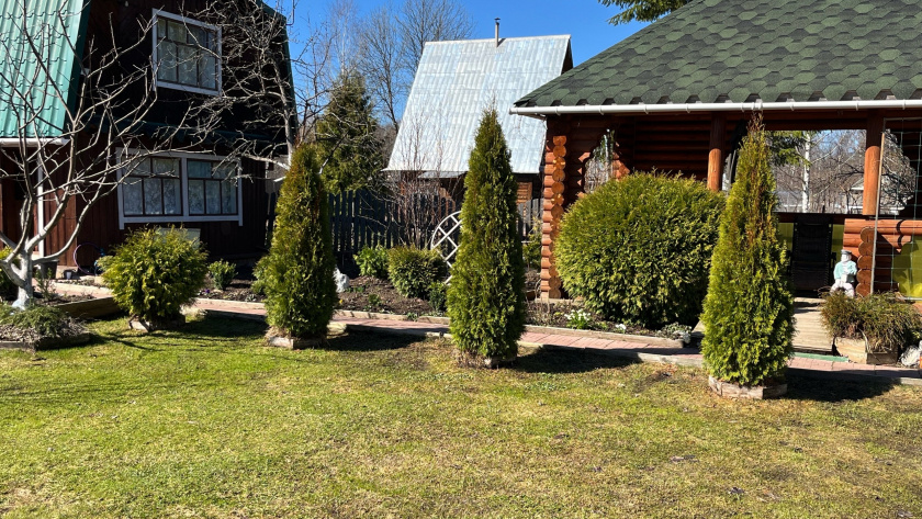    Фото: progorod43.ru