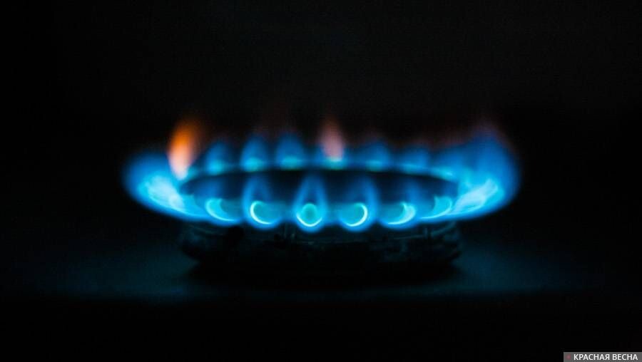     Газ   
Владимир Чичилимов © ИА Красная Весна