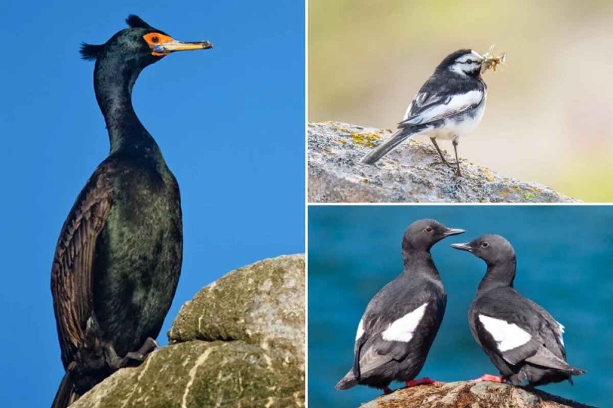    Небесная красота.