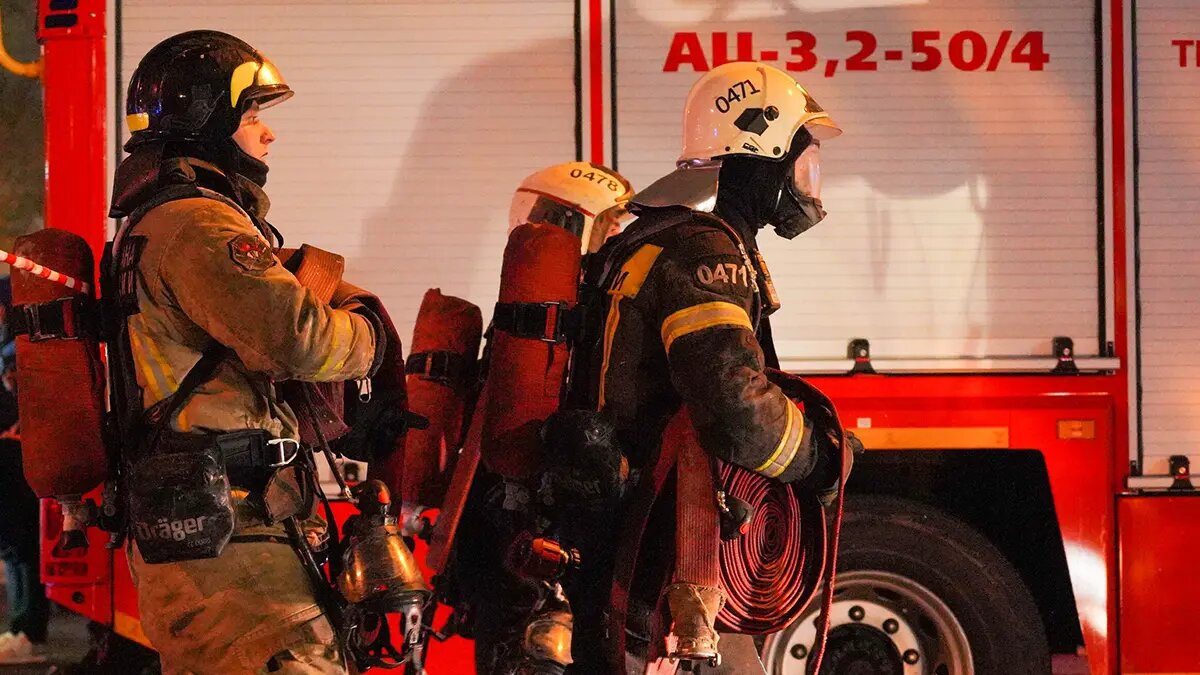    Источник: vm.ru/ Максим Сурков