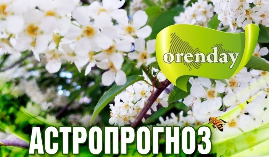 КОЗЕРОГИ, ПОСТАРАЙТЕСЬ ОТПУСТИТЬ КОНТРОЛЬ, РЫБАМ ЗАХОЧЕТСЯ БОЛЬШЕ УЕДИНЕНИЯ, А РАКАМ ЛУЧШЕ ИЗБЕГАТЬ УЧАСТИЯ В ЧУЖИХ ИНТРИГАХ