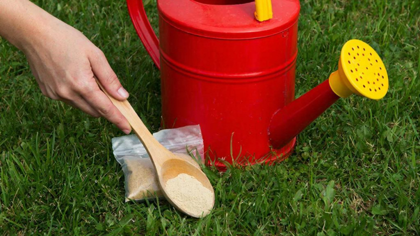    Сгенерировано в нейросети