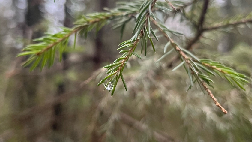    Фото из архива редакции