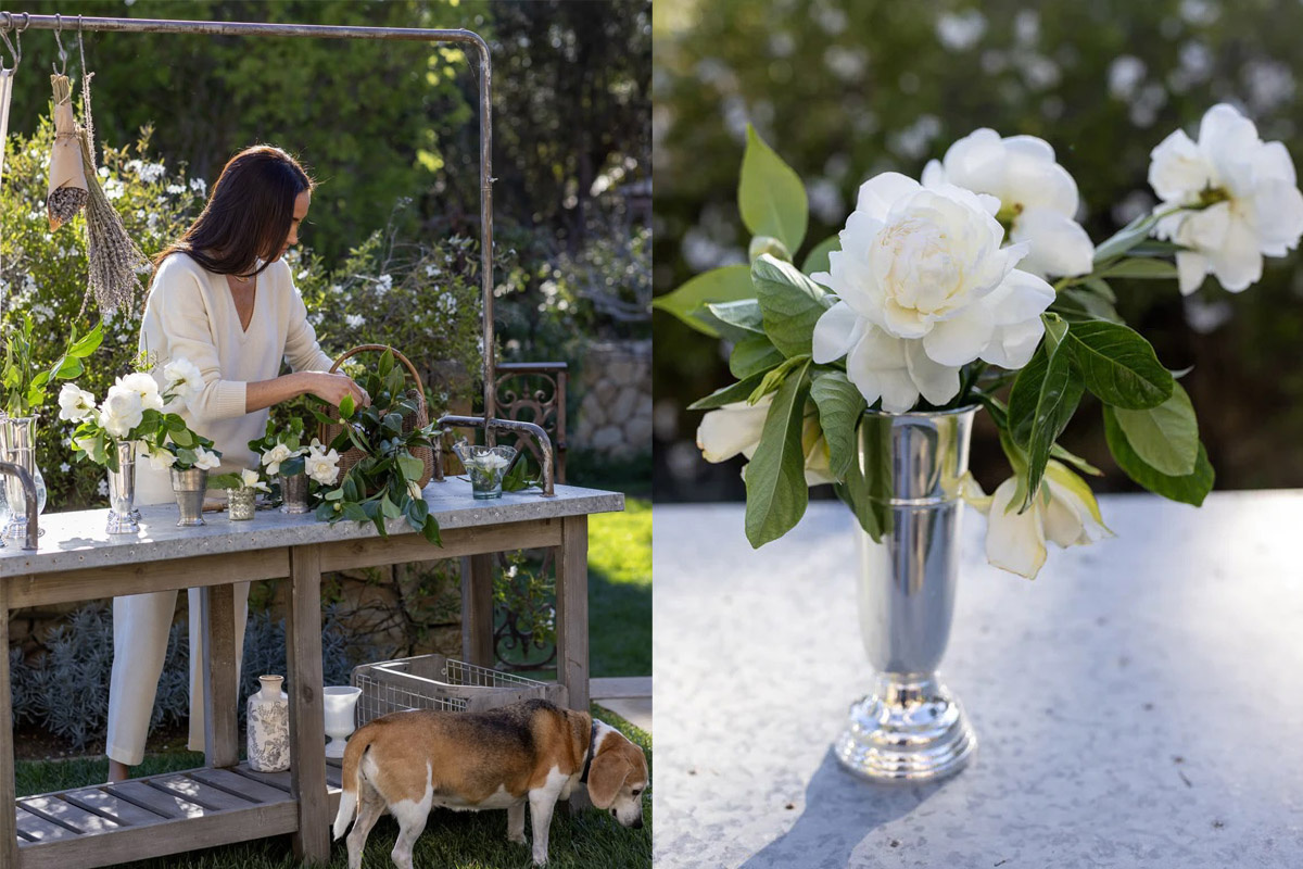 Социальные сети Меган Маркл