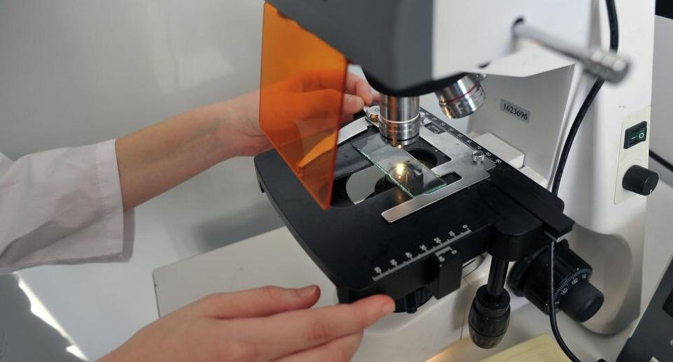    РИА «Новости»