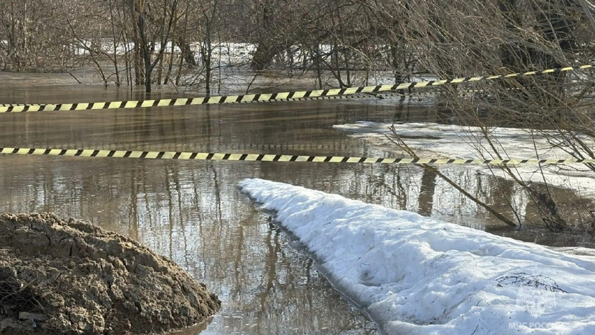    Фото: МЧС Владимирской области