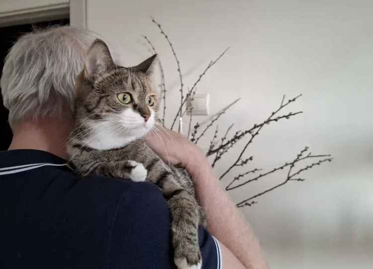 Дашенька, которую выбросили в мусорный бак в переноске, обрела новый дом