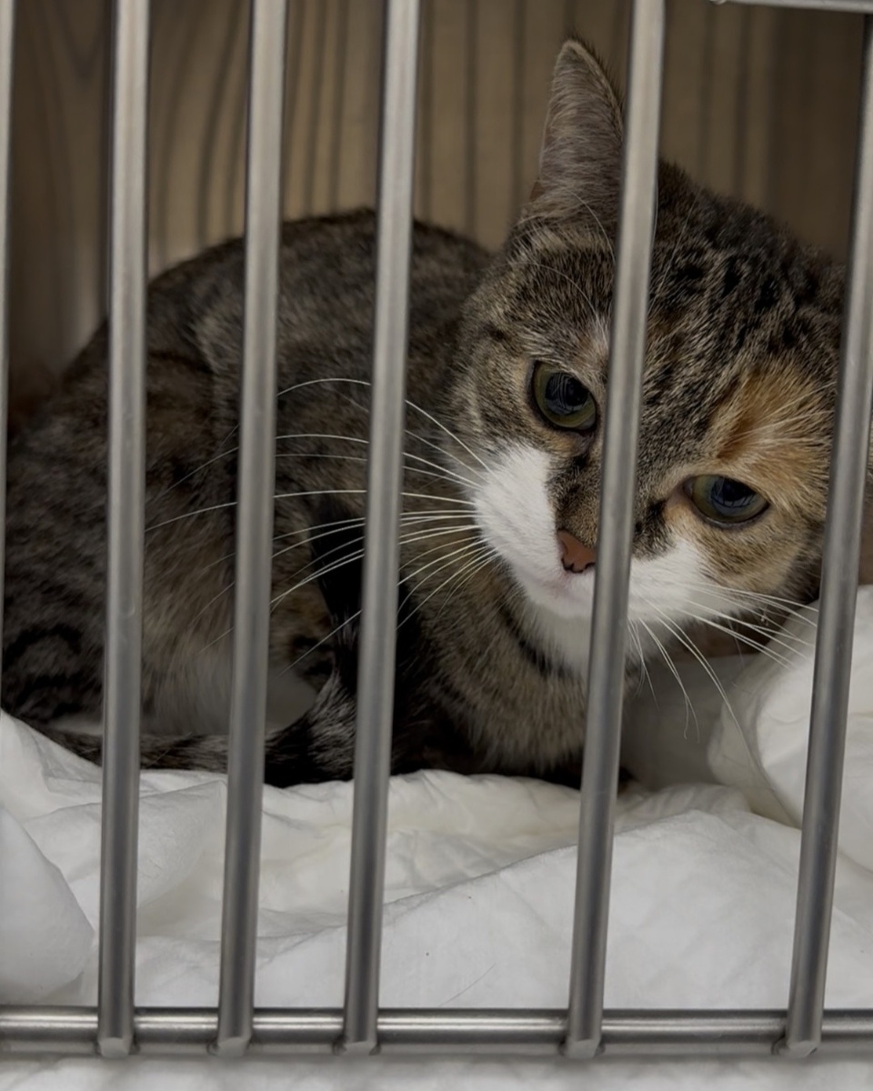 Дашенька в стационаре ❤️‍🩹