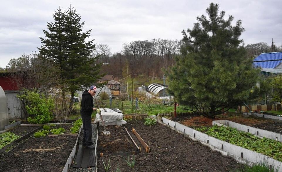    РИА «Новости»