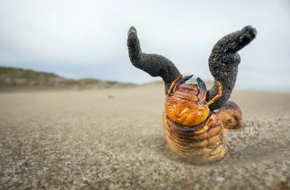 ����� ����� ������� �������� �������� ����, ��������� ��� ��������������� ����������. ������� ���������� � ������, ����� ���������� ������, � ������� ����� � ���������� �� �����������.