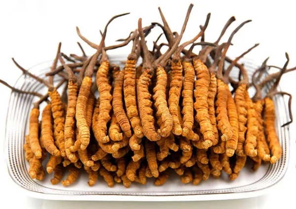 � ��� �������, ��������� ������������, �������� ������������ �������� ����� �������� � �������� ��������� ������ ��� ����������. � ������, �� ����������.