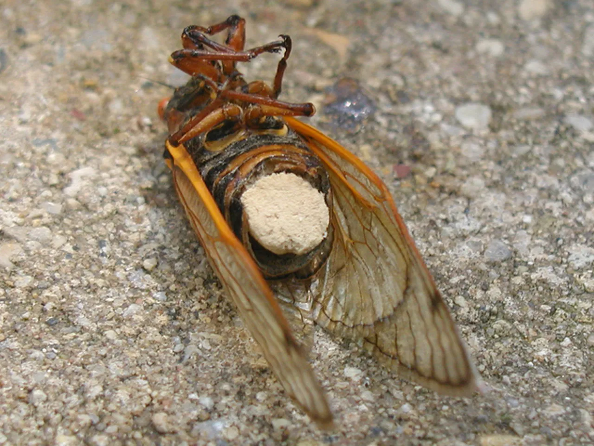 ��� ���������� ���������� ���������� �������� ���� �� ��������� ���� ������. �� ���������� ����� ���������� ����� ����� � ������ ����������. � �����-�� ������ ��� ������������, � ������ ���� ���������� ������.